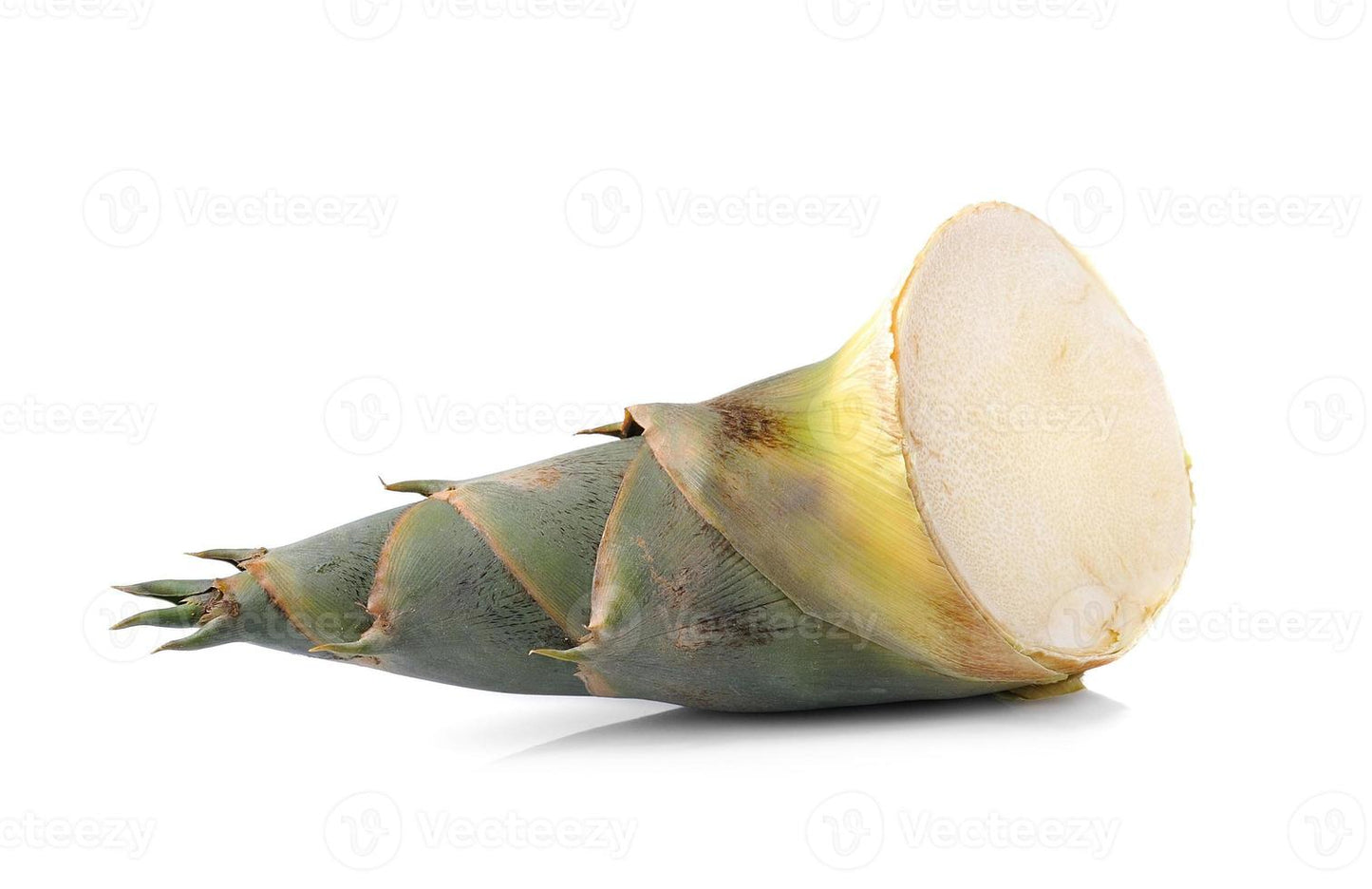 Gante Mula