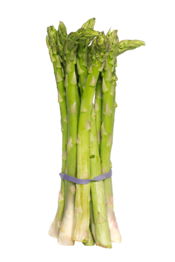 Asparagus (Kurilo) [कुरिलो]
