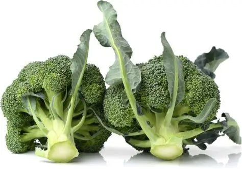 Broccoli [ब्रोकाउलि]