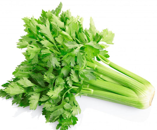 Celery [Mutha]