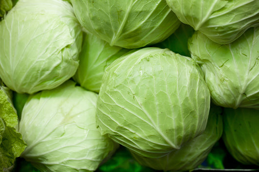 Cabbage [बन्दा]