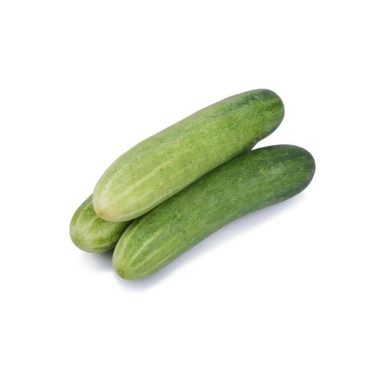 Hybrid Cucumber देसी हाइब्रीड काक्रो