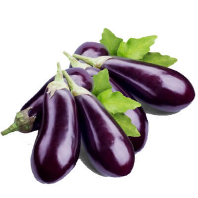 Eggplant (Bhanta) Brinjal [भेन्टा]
