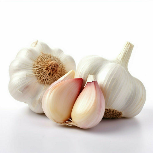 Garlic [लसुन]