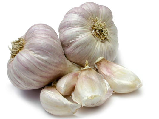 Garlic [लसुन]