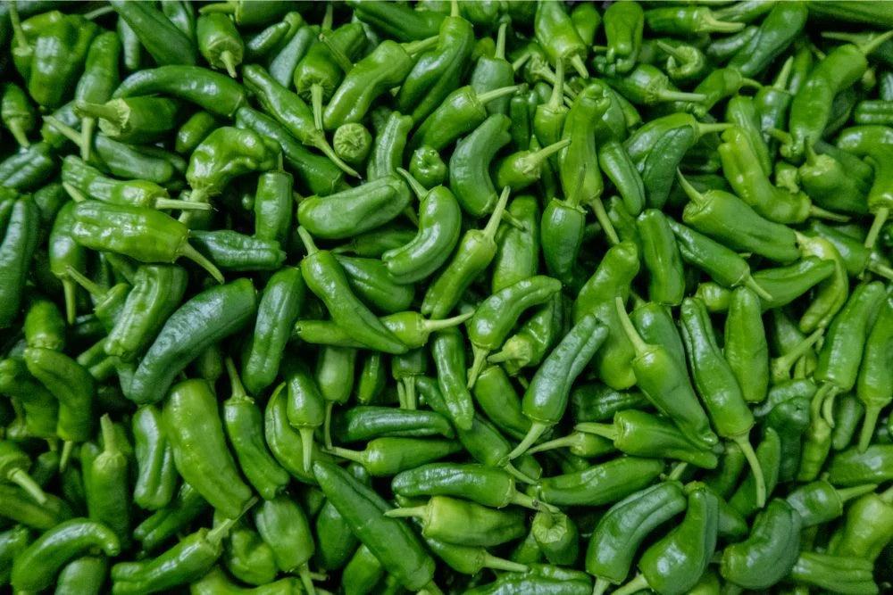 Green Chilli [हरियो खुर्सानी]