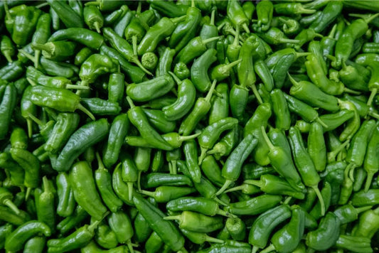 Green Chilli [हरियो खुर्सानी]