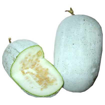 Cocoyam (Pidalu) [ पिडालु, कच्चु ]
