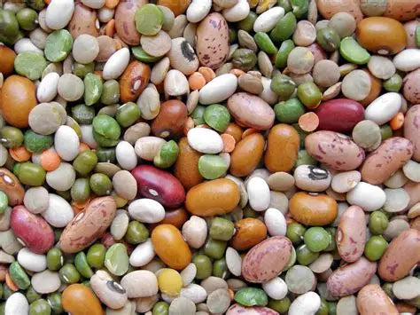 Mixed beans क्वाटी