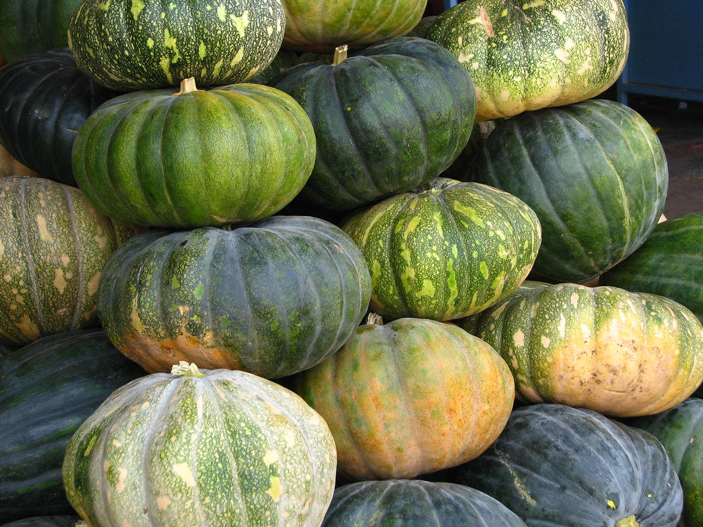 Red Pumpkin (Pakeko Farsi) [पाकेको फर्सी]