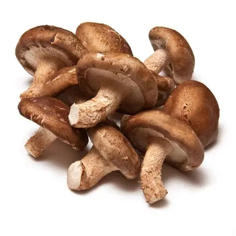 Shiitake Mushroom [सिताके च्याउ]
