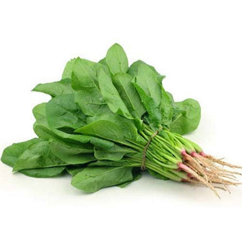 Cocoyam (Pidalu) [ पिडालु, कच्चु ]