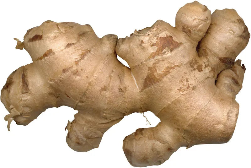 Cocoyam (Pidalu) [ पिडालु, कच्चु ]