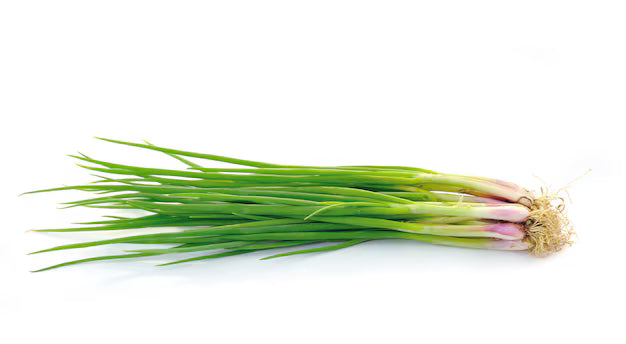 Spring Onion [हरियो प्याँज]