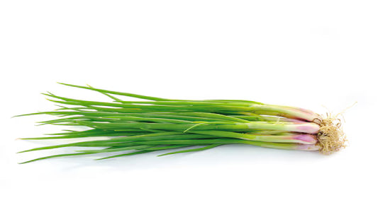 Spring Onion [हरियो प्याँज]