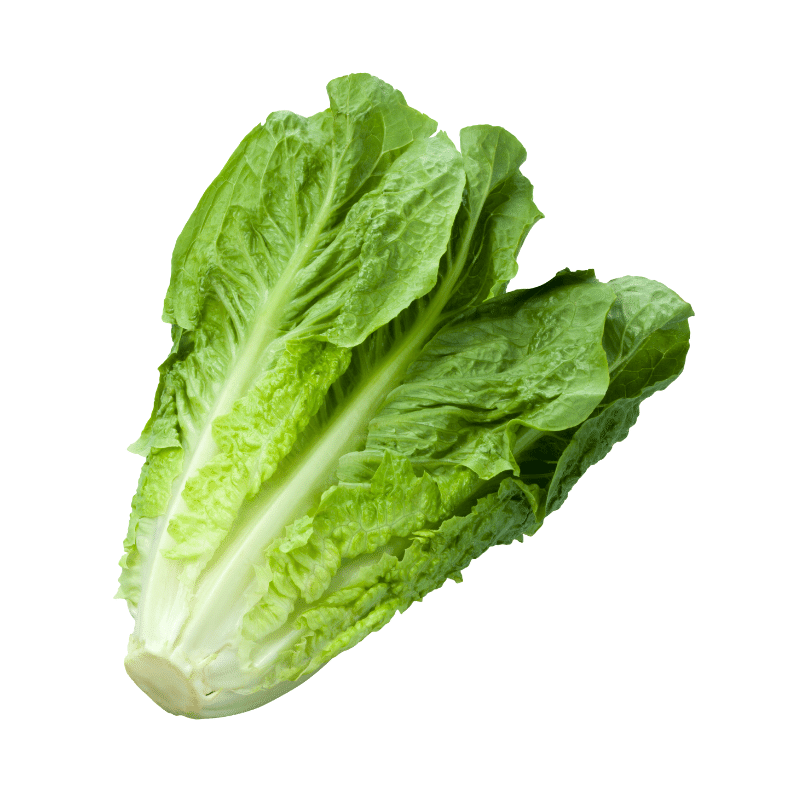 Lettuce (Jiri ko Saag) [जिरिको साग]