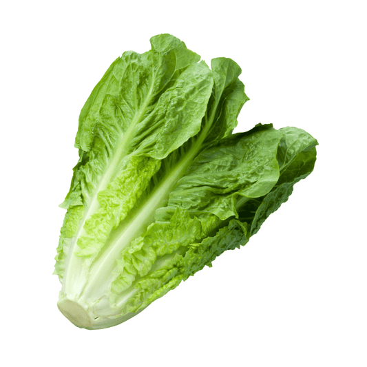 Lettuce (Jiri ko Saag) [जिरिको साग]