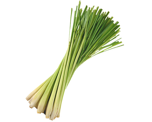 Lemon Grass [ लेमन ग्रास ]