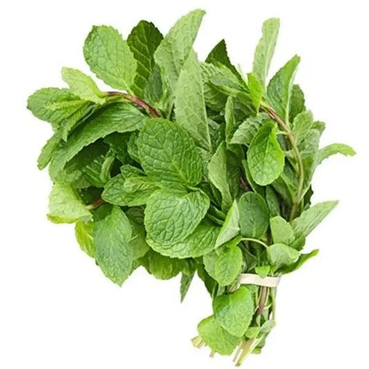 Mint (Pudina) [पुदिना]