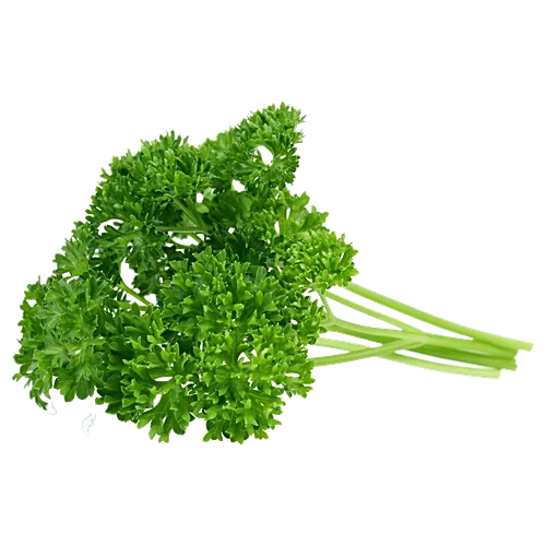 Parsley Bunch [ Mutha]