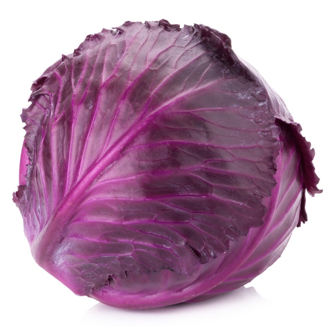 Red Cabbage [ रातो बन्दा ]