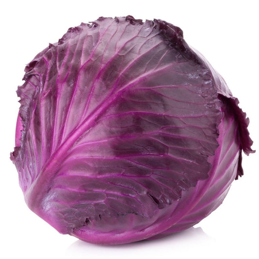 Red Cabbage [ रातो बन्दा ]