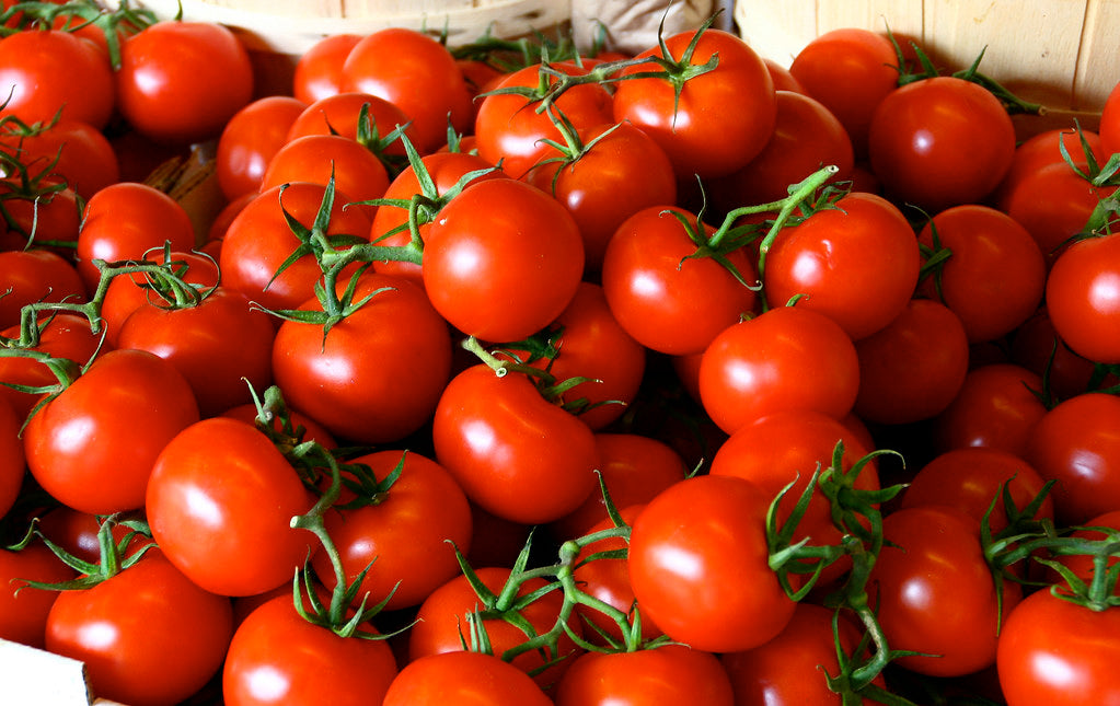 Tomato Local [लोकल टमाटर]