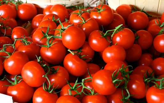 Tomato Local [लोकल टमाटर]